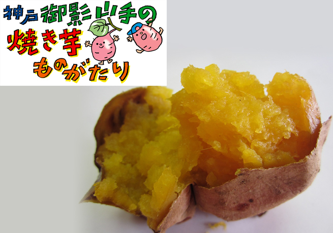 安納芋焼き芋(冷凍 500g)