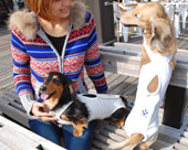 イカリ包帯バッククロスマナーパンツ